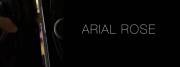 Arial Rose, Cute Mode  Slut Mode, A Font of Pleasure