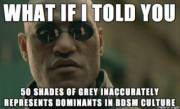 Whenever I get the “Oh, you’re into the 50 Shades of Grey stuff.” No...