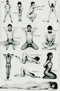 Found this. Anyone have more Sub/Slave pose charts?