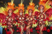 Brazilian Carnival (album in comments)