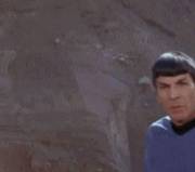 Spock has ZERO taste in women.