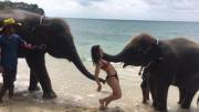 Elephants love her!