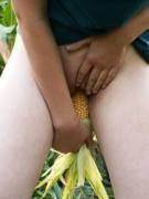 Playing Outside with Corn