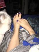The cat wants to sniff my toes! I can't blame him though, my feet smell super sweet.