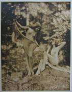 "Nudes in Griffith Park" photographed by Edwin Bower Hesser (c.1921)