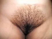 Full frontal of my wife's bush.