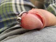 How about a pierced cock?
