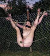 tied to a fence