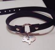 Master got me a new going out collar and I put my bunny charm on it! 
