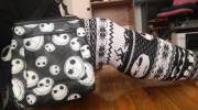 Look at my leggings and purse! I can't wait for halloween!:)