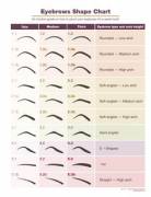 Eyebrow Shape Chart. Get the Sexier Look!