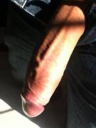 My 8.5 inch cock. Needed to let it out