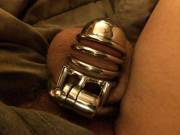 I'm warming up to my new device from Rigid Chastity
