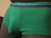 Today's undies green trunks by evolve
