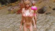 Skyrim Bikini Babes: Check comment for link to sexy and super-modded Let's Play series