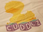 My Cuddlz Nursery Print Diaper Review