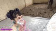 Sweetheart takes a pie to the face [gif]