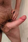 Hairy balls under a hard dick