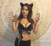 Sexy Halloween Kitten