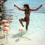 Playing with flamingos (Anna Herrin!)