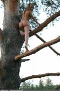 Tree Nudist