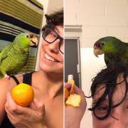 Nietzsche and I shared our first shower orange!