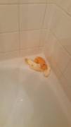 First shower orange experience