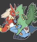 Swampert [M] giving Blaziken [F] and Sceptile [F] what they want