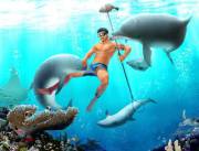 Dudes and Dolphins [male human]
