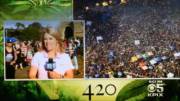 Live TV report on 420