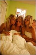 Blondes in bed
