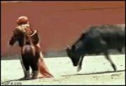 Bull fight/rape