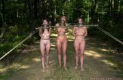 The triple gag harness, although not an effective way of harnessing slavegirls, is ... peculiar