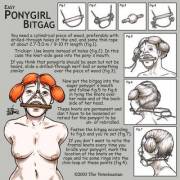 pony girl bit gag