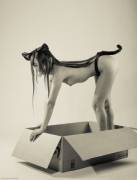 Kitties love boxes