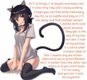 Choose Your Catgirl! [Choose One]