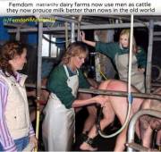Femdom Matriarchy now uses men as cattle, they now produce milk and it's better than a cow's milk. It helps our economy and employs women in our country