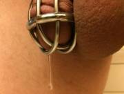 Dripping in Chastity