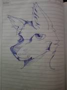 Wolf I drew in class.