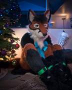 A fox isn't just for christmas