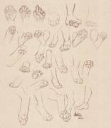 Big Page of Paws (sketches)