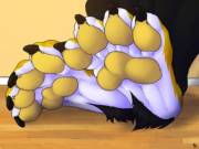Close-up yellow paws- by Solaxe