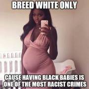Pure nigger babies are a racist crime