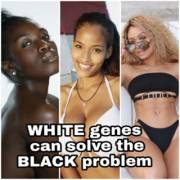 The only answer to the black problem