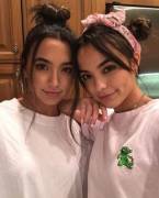 How would you have sex with the Merrell twins?