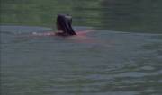Zombie Lake (1981) Pascale Vital [First Girl at the Lake (uncredited)] Skinny dipping. An almost unwatchable movie.