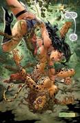 Wonder Woman vs. the Cheetah [New 52 Justice League #14]