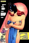 Barbara Gordon as Batgirl, forced to pursue Catwoman through a nudist club [Batman Confidential #18]