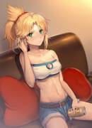 Mordred's [Fate Series]
