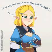 Zelda - Do you like them? (Moikaloop) [Breath of the Wild]